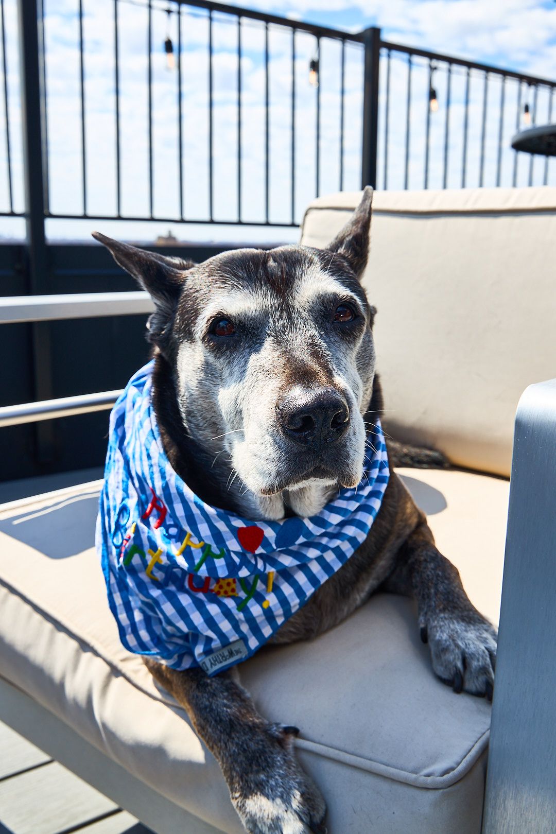Linda Birthday Shoot