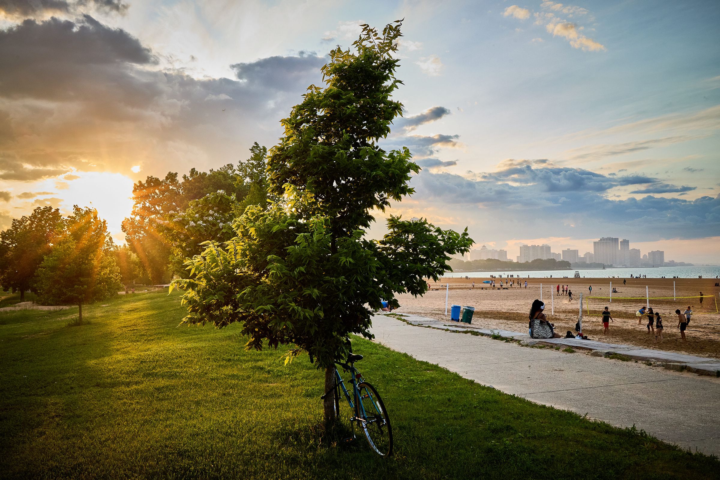 Bicycle resting on tree